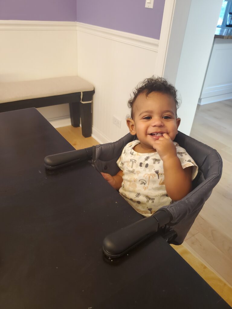 portable high chair for two kids under two